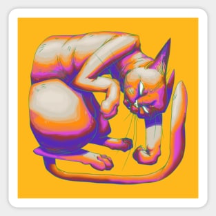 Cat Square v2 Sticker